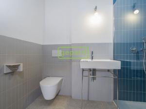 Pronájem bytu 1+kk, Praha - Žižkov, Sudoměřská, 35 m2