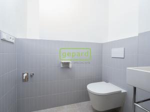 Pronájem bytu 1+kk, Praha - Žižkov, Sudoměřská, 35 m2