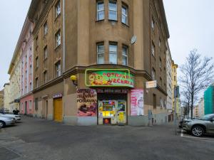 Pronájem bytu 1+kk, Praha - Žižkov, Sudoměřská, 35 m2