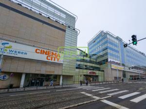 Pronájem bytu 1+kk, Praha - Žižkov, Sudoměřská, 35 m2