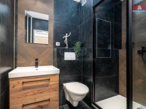 Pronájem bytu 1+kk, Hradec Králové - Slezské Předměstí, Třebechovická, 35 m2