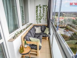 Pronájem bytu 1+kk, Hradec Králové - Slezské Předměstí, Třebechovická, 35 m2