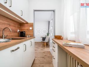 Pronájem bytu 1+kk, Hradec Králové - Slezské Předměstí, Třebechovická, 35 m2