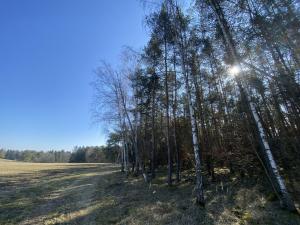 Prodej lesa, Všehrdy, 2222 m2