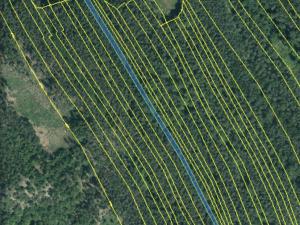 Prodej lesa, Všehrdy, 2222 m2
