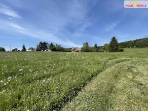 Prodej louky, Nalžovice - Nalžovické Podhájí, 3932 m2