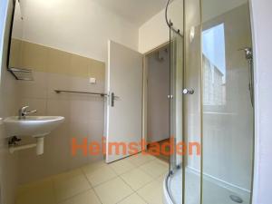 Pronájem bytu 1+kk, Karviná - Nové Město, Brožíkova, 28 m2