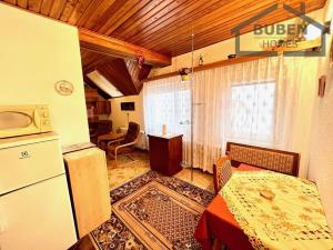 Pronájem bytu 1+kk, Přimda, Nová, 35 m2