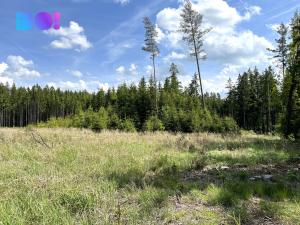 Prodej chaty, Česká Bělá, 40 m2
