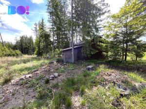 Prodej chaty, Česká Bělá, 40 m2