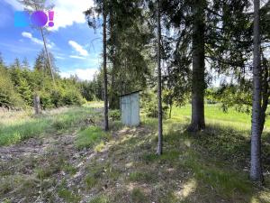 Prodej chaty, Česká Bělá, 40 m2