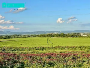 Prodej pole, Křelov-Břuchotín - Křelov, Marie Majerové, 13143 m2