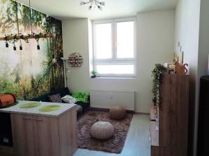 Pronájem bytu 2+kk, Janovice nad Úhlavou, Rozvojová zóna, 44 m2