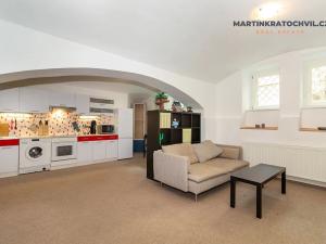 Prodej bytu 1+kk, Praha - Karlín, Březinova, 50 m2