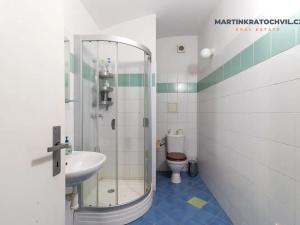 Prodej bytu 1+kk, Praha - Karlín, Březinova, 50 m2
