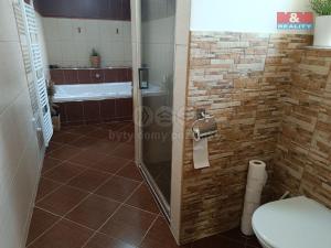Pronájem bytu 2+kk, Drahobudice, 94 m2