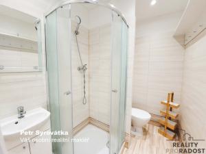 Pronájem bytu 1+1, Brno - Slatina, Dědická, 34 m2