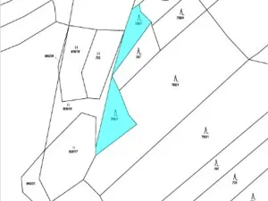 Prodej lesa, Tis, 893 m2