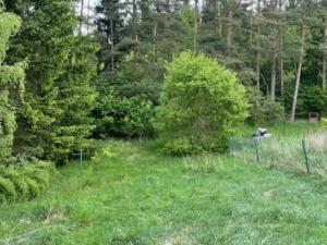 Prodej rodinného domu, Ostrov u Macochy
