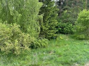 Prodej rodinného domu, Ostrov u Macochy