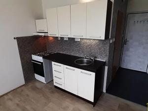 Pronájem bytu 1+1, Vysoké Mýto, Ležáků, 34 m2