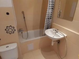 Pronájem bytu 1+1, Vysoké Mýto, Ležáků, 34 m2