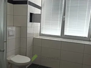Prodej bytu 1+1, Milovice, Višňová, 34 m2