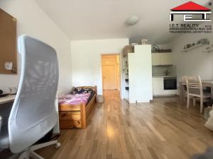 Pronájem bytu 1+kk, Brno, Francouzská, 43 m2