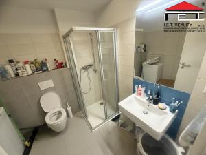 Pronájem bytu 1+kk, Brno, Francouzská, 43 m2