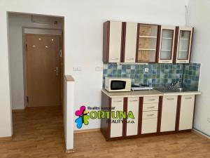 Pronájem bytu 1+kk, České Budějovice, Krokova, 27 m2