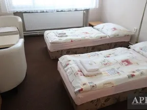 Pronájem bytu 1+kk, Uherský Brod, Mariánské nám., 25 m2