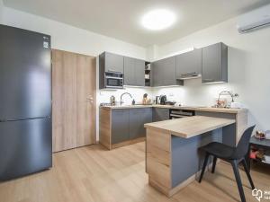 Pronájem bytu 1+kk, Olomouc, Věry Pánkové, 34 m2