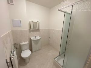 Pronájem bytu 3+kk, Ivanovice na Hané - Chvalkovice na Hané, 89 m2
