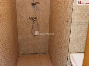 Pronájem obchodního prostoru, Hustopeče, Bratislavská, 20 m2