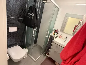 Prodej bytu 1+kk, Praha - Karlín, U Mlýnského kanálu, 28 m2