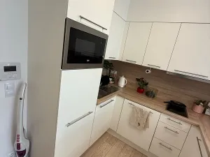 Prodej bytu 1+kk, Praha - Karlín, U Mlýnského kanálu, 28 m2