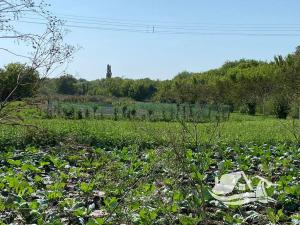 Prodej rodinného domu, Izvorovo, Bulharsko, 64 m2
