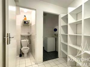 Pronájem komerční nemovitosti, Kutná Hora, Havlíčkovo náměstí, 45 m2