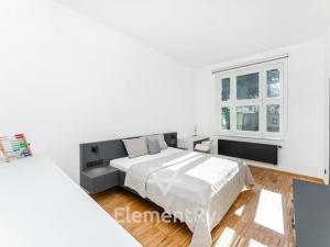Pronájem bytu 3+kk, Hradec Králové, Šafaříkova, 101 m2