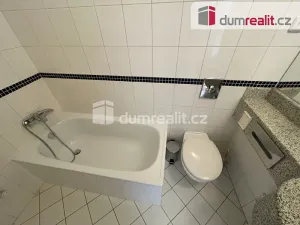 Pronájem bytu 1+kk, Praha - Smíchov, Radlická, 25 m2