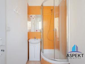 Pronájem bytu 1+1, Praha - Vinohrady, Vinohradská, 49 m2