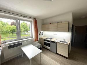 Pronájem bytu 2+1, Tábor - Klokoty, Lidická, 45 m2