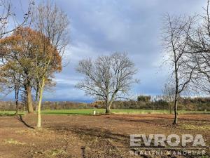 Prodej pozemku pro bydlení, Golčův Jeníkov, 2922 m2