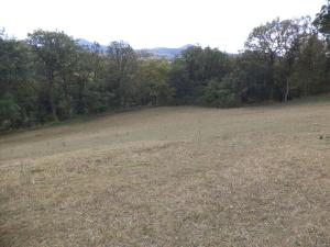 Prodej pole, Řehlovice - Stadice, 44884 m2