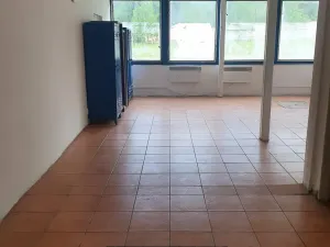 Pronájem komerční nemovitosti, Korozluky, 400 m2