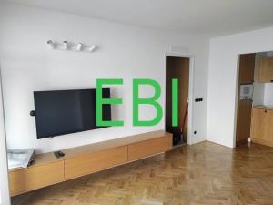 Pronájem bytu 1+1, Praha - Malá Strana, Újezd, 46 m2