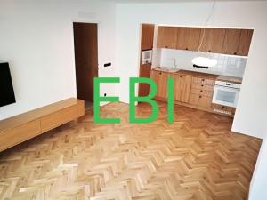 Pronájem bytu 1+1, Praha - Malá Strana, Újezd, 46 m2
