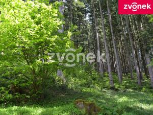 Prodej chaty, Velké Karlovice, 65 m2