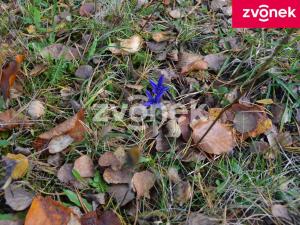 Prodej chaty, Velké Karlovice, 65 m2