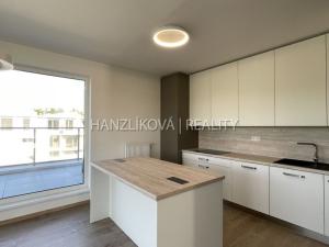 Pronájem bytu 4+kk, České Budějovice, Branišovská, 103 m2